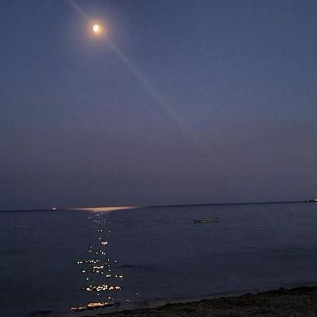 Le Tamaya Plage Charmant T2 En Rez De Jardin A 2 Pas D Une Belle Plage De Toutes Commodites Et Centre Ville Port 카발레르쉬르메르 외부 사진