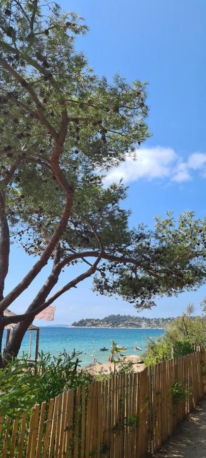 Le Tamaya Plage Charmant T2 En Rez De Jardin A 2 Pas D Une Belle Plage De Toutes Commodites Et Centre Ville Port 카발레르쉬르메르 외부 사진